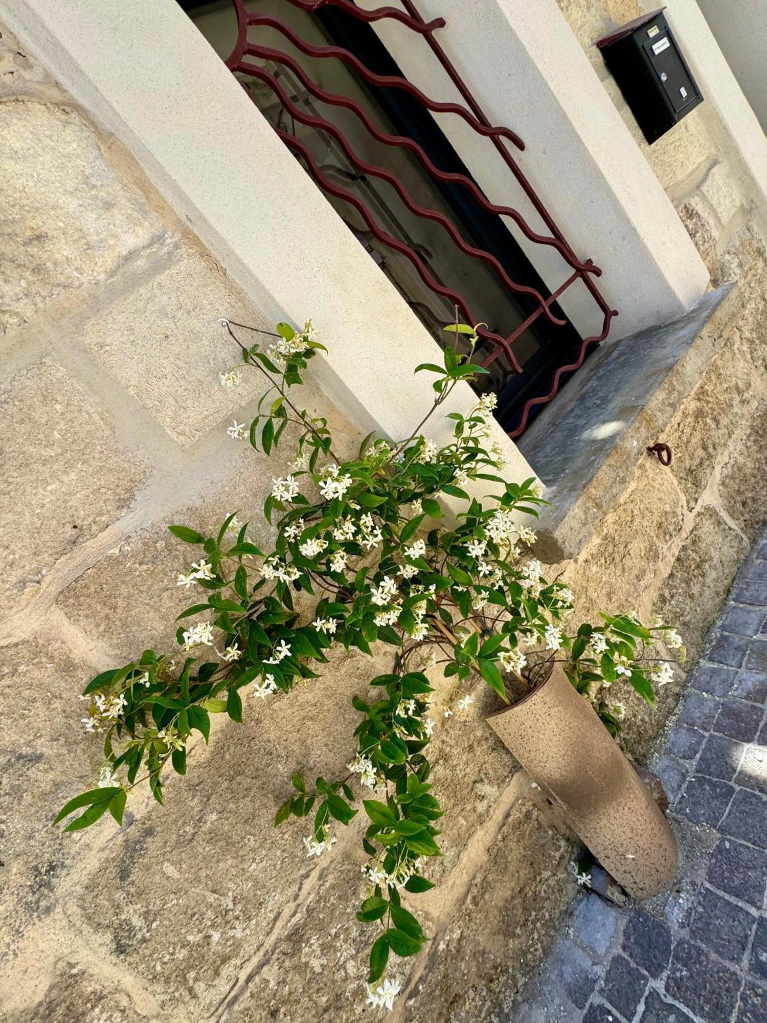 Maison De Village Renovee ! Le Grau-du-Roi Εξωτερικό φωτογραφία